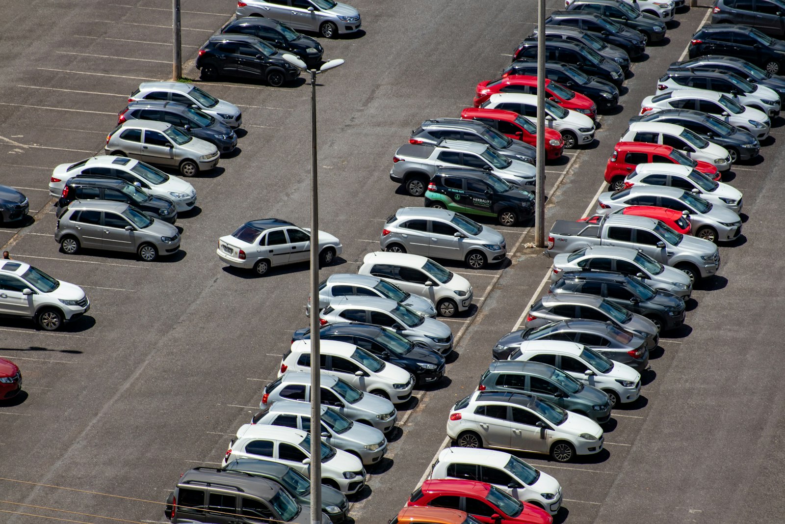 cars parked together representing weekly gig car rental choices
